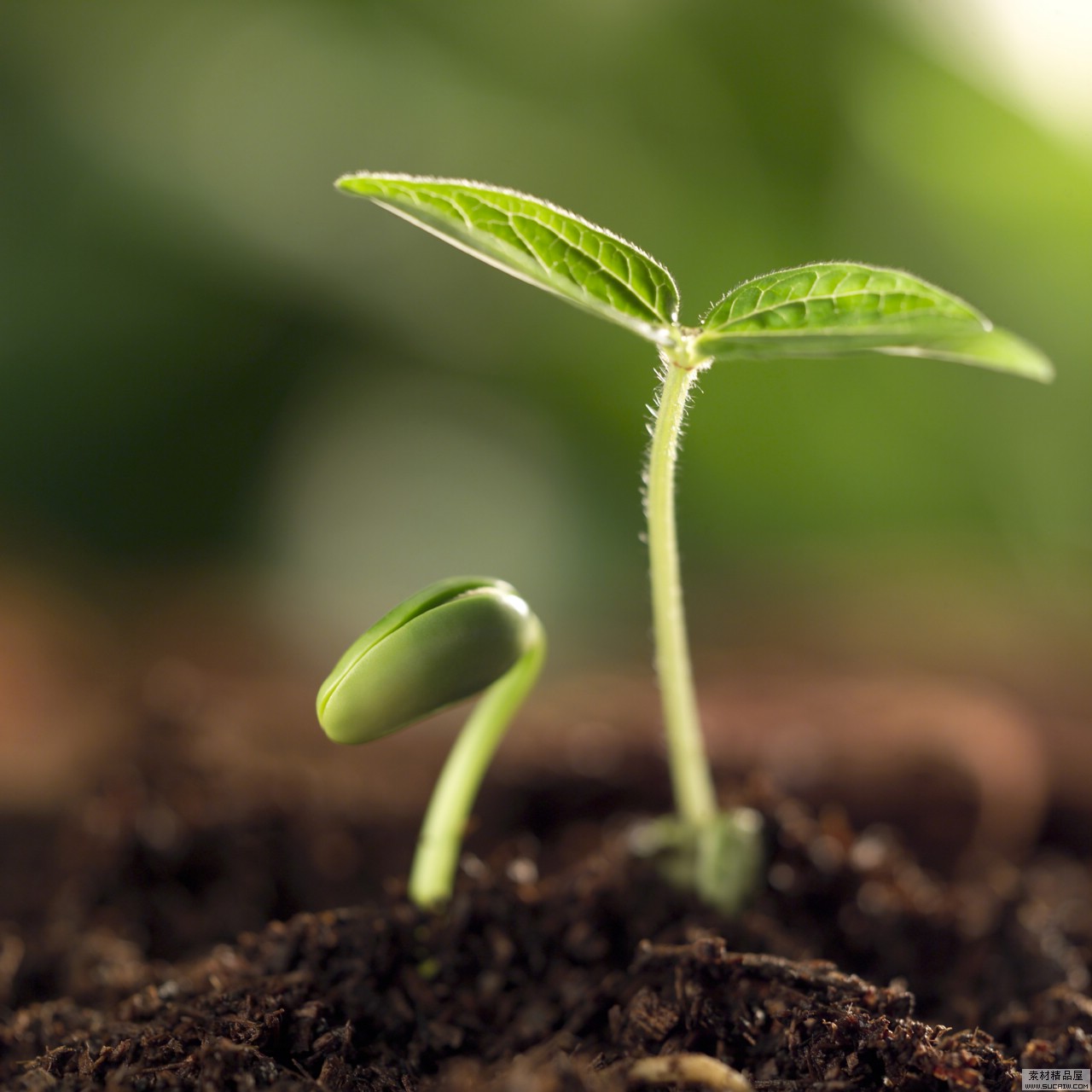 選擇凱能鍋爐，共創(chuàng)綠色家園