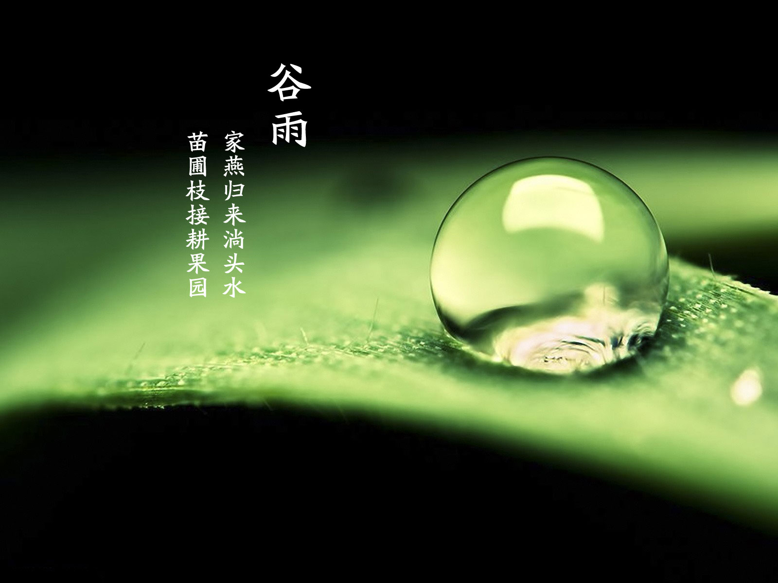 谷雨已至您還在猶豫嗎？