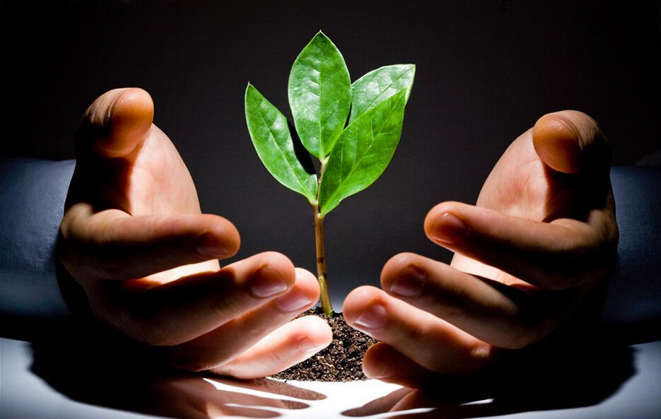 選對(duì)方向才會(huì)成長(zhǎng)