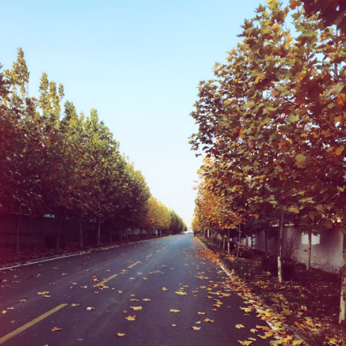 凱能科技 凱能科技