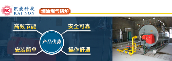 燃油燃?xì)忮仩t廠家制造 燃油燃?xì)忮仩t廠家制造