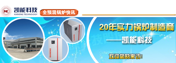 凱能專業(yè)全預(yù)混低氮燃?xì)忮仩t生產(chǎn)廠家 凱能專業(yè)全預(yù)混低氮燃?xì)忮仩t生產(chǎn)廠家
