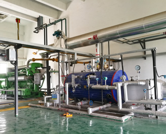 1000kW 沼氣發(fā)電機組余熱鍋爐 1000kW 沼氣發(fā)電機組余熱鍋爐
